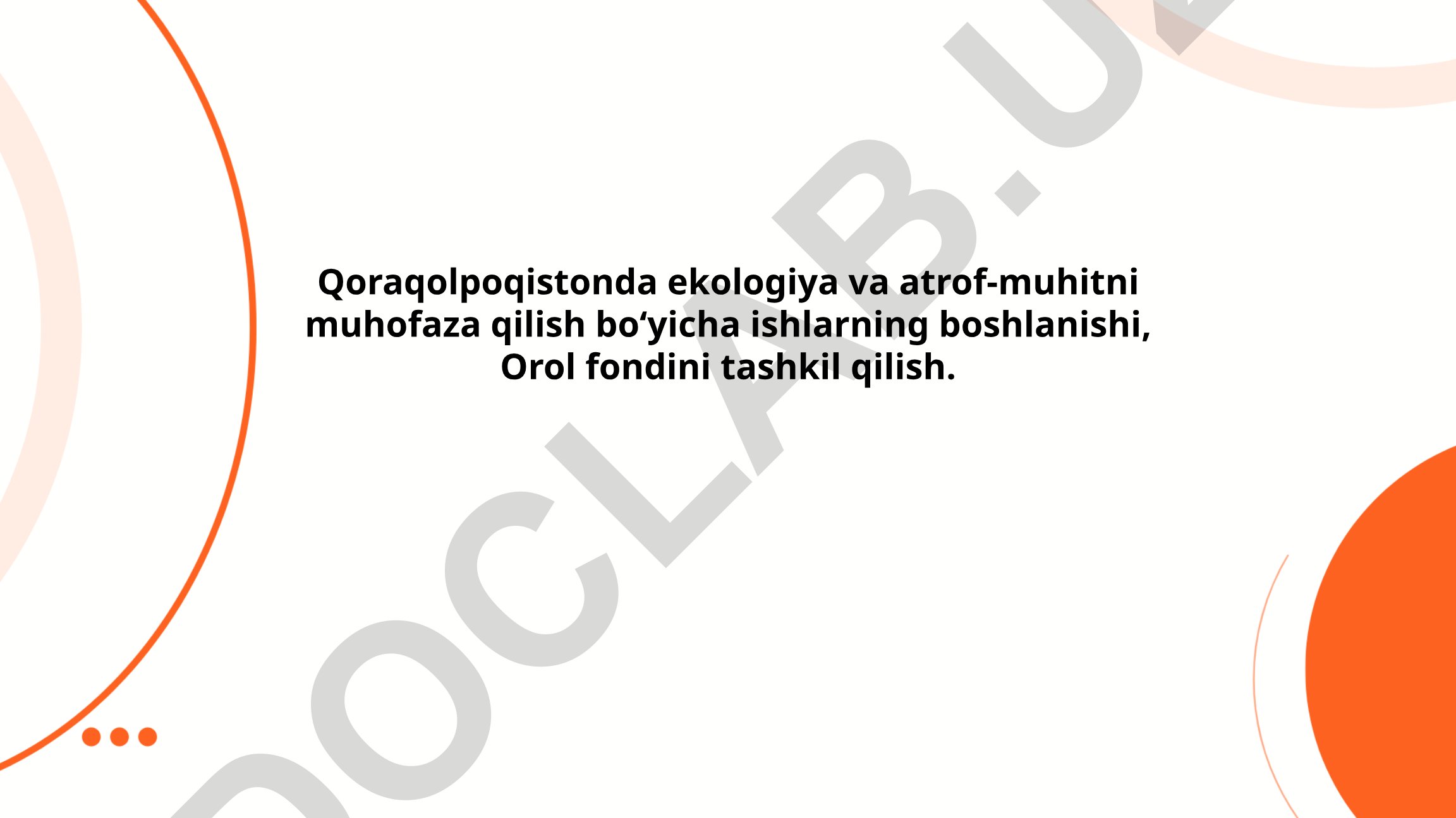 Qoraqolpoqistonda ekologiya va atrof-muhitni muhofaza qilish, Orol fondi