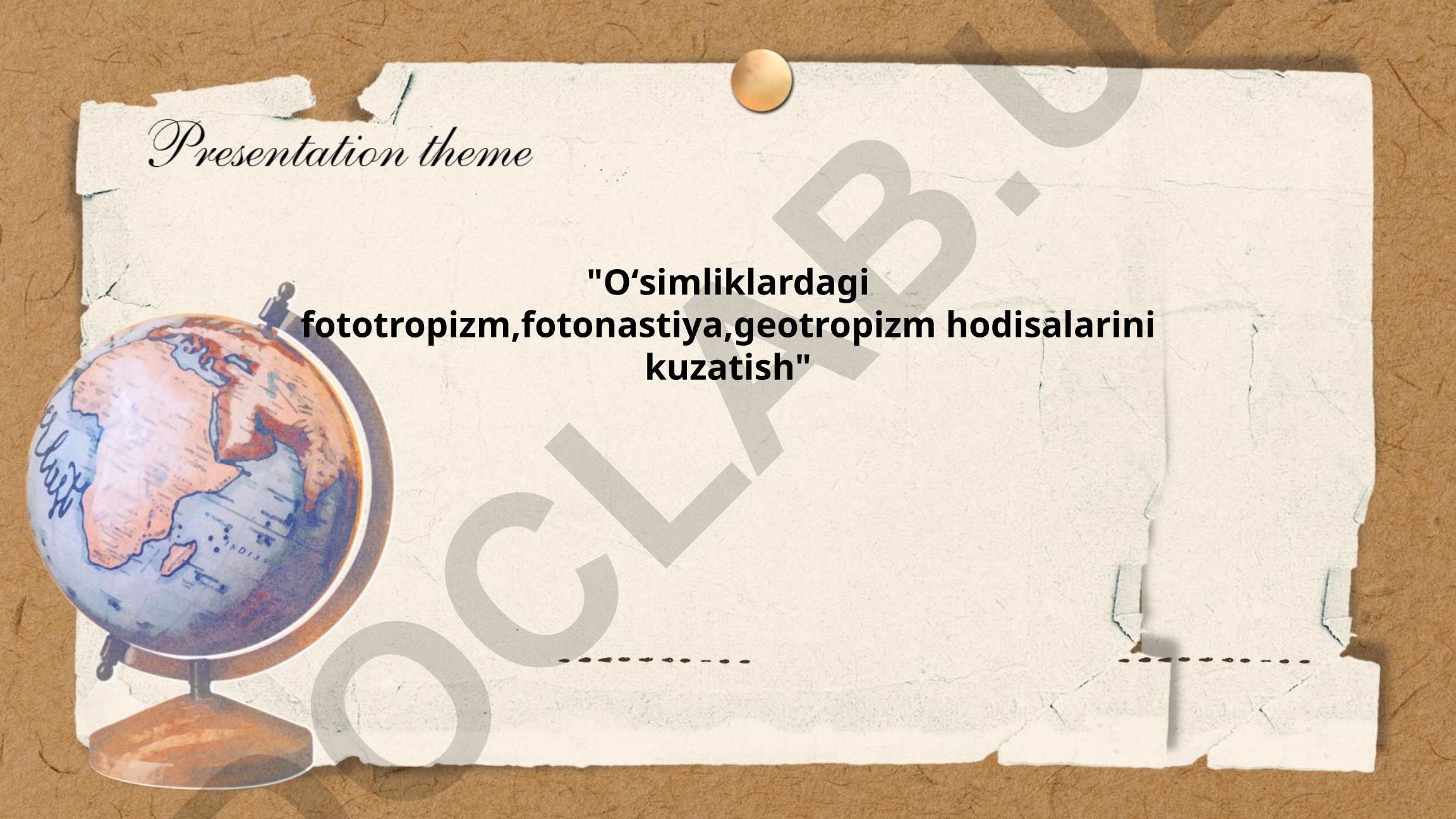 Oʻsimliklardagi fototropizm, fotonastiya, geotropizm hodisalarini kuzatish