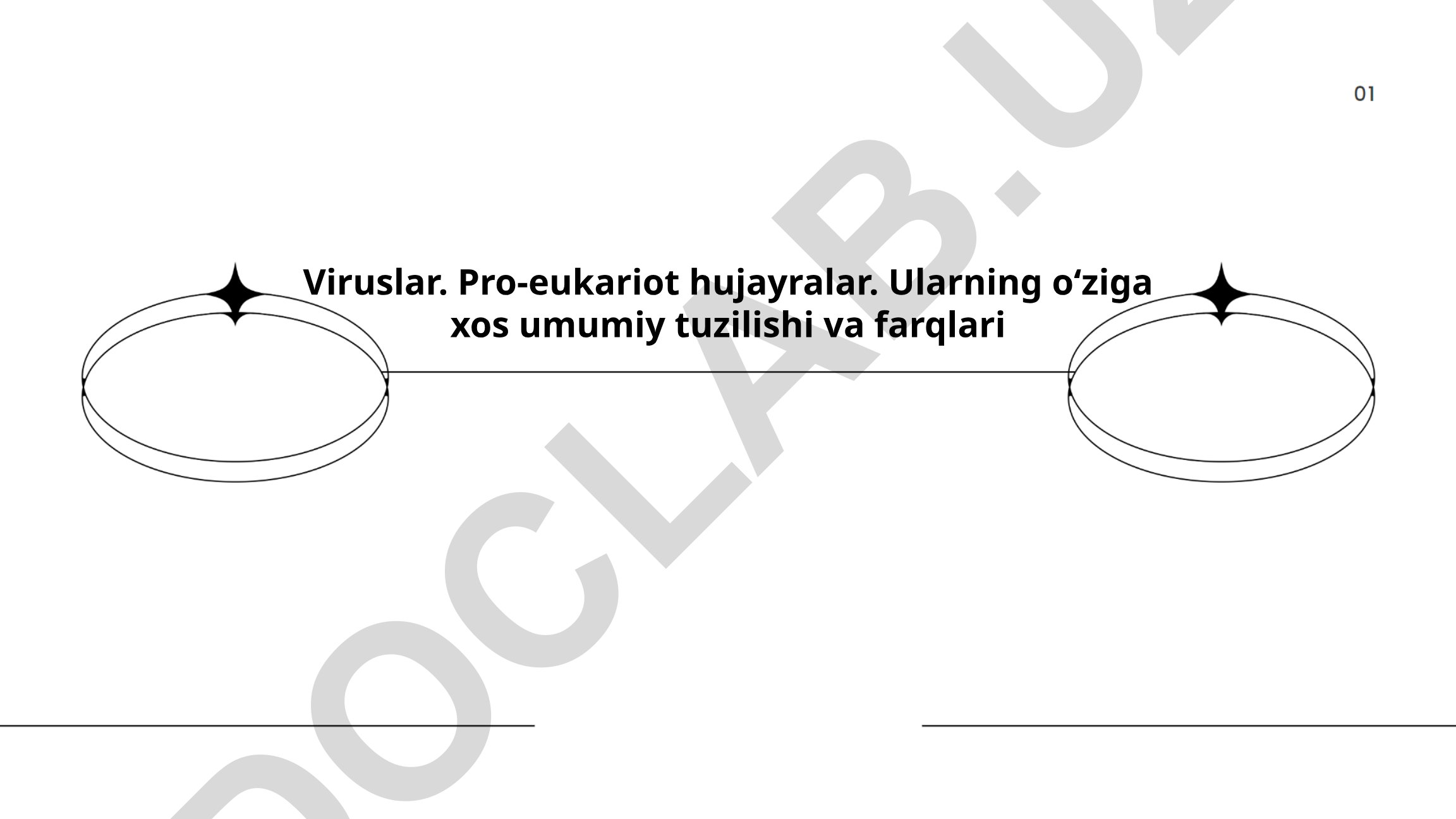 Viruslar va pro-eukariot hujayralarning tuzilishi va farqlari