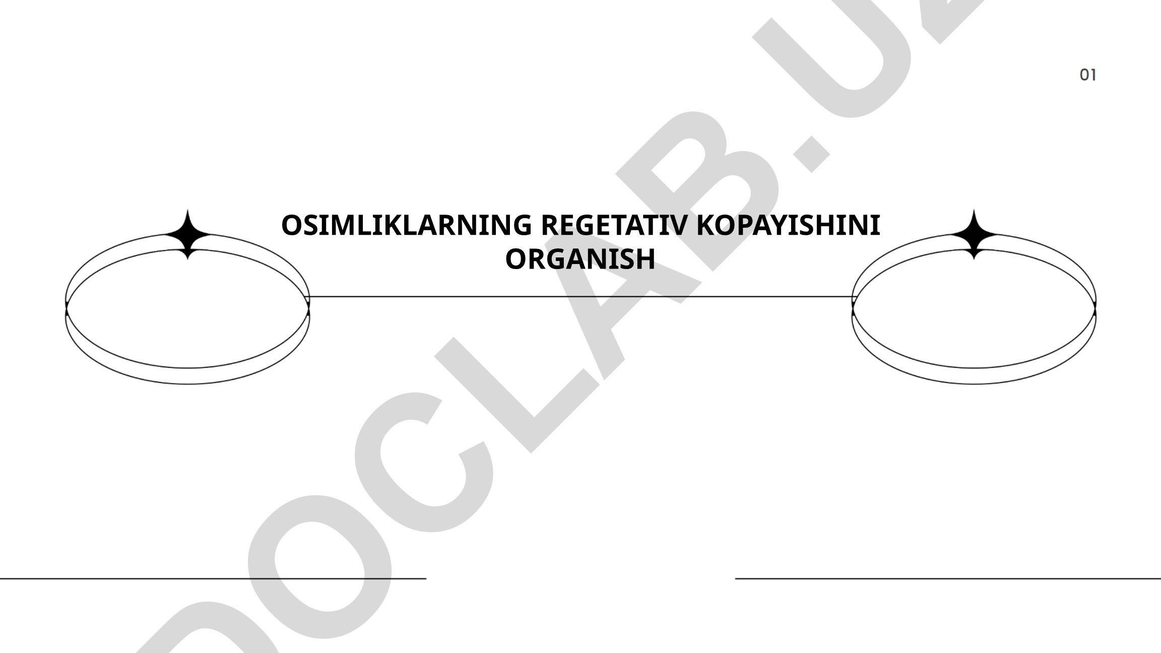 O'simliklarning vegetativ ko'payishini o'rganish