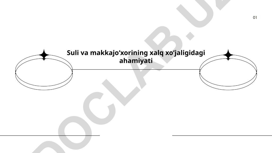 Suli va makkajoʻxorining xalq xoʻjaligidagi ahamiyati