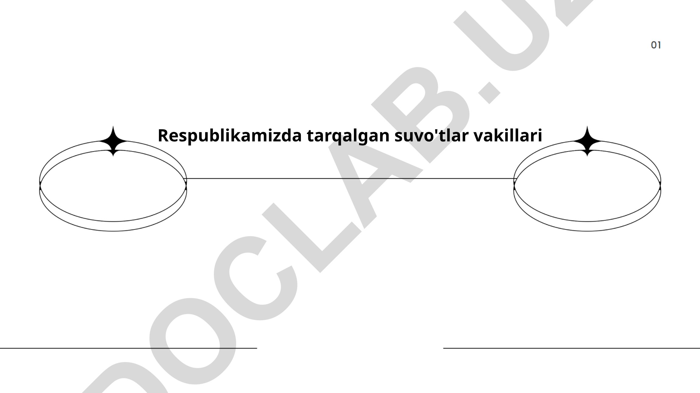 Respublikamizda tarqalgan suvo'tlar vakillari