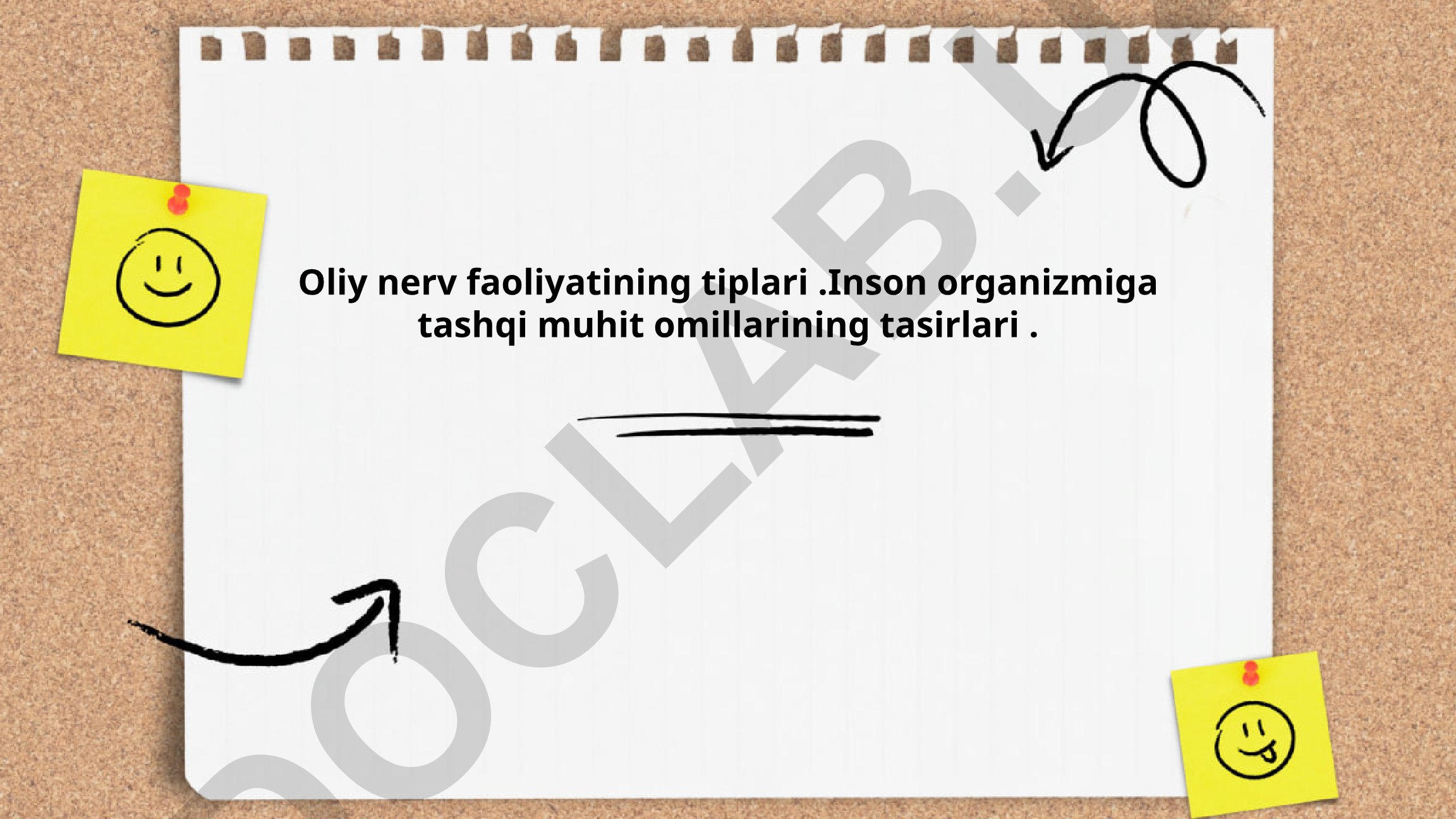 Oliy nerv faoliyatining tiplari va tashqi muhit omillari