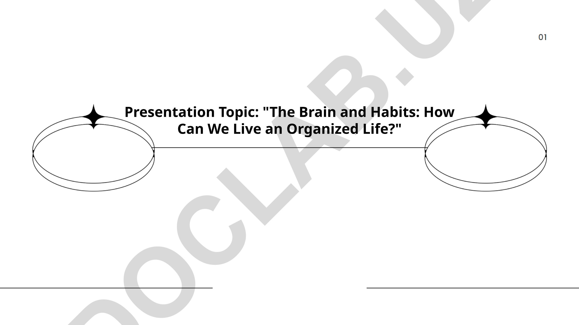 The Brain and Habits: How Can We Live an Organized Life?