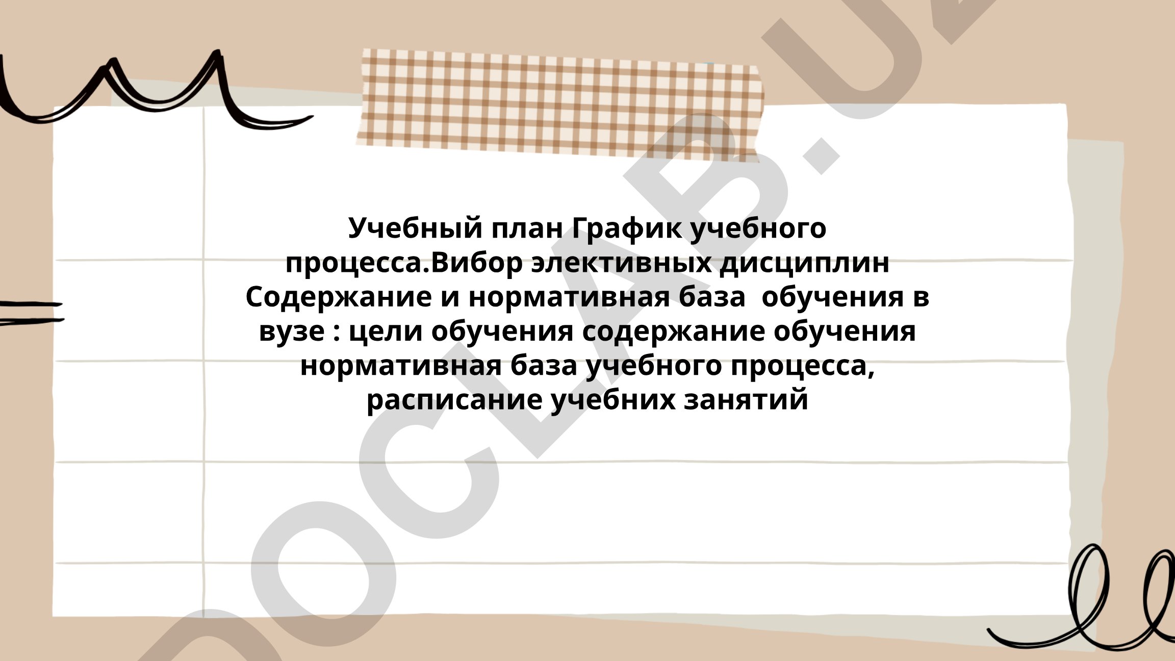 Учебный план и нормативная база обучения в вузе