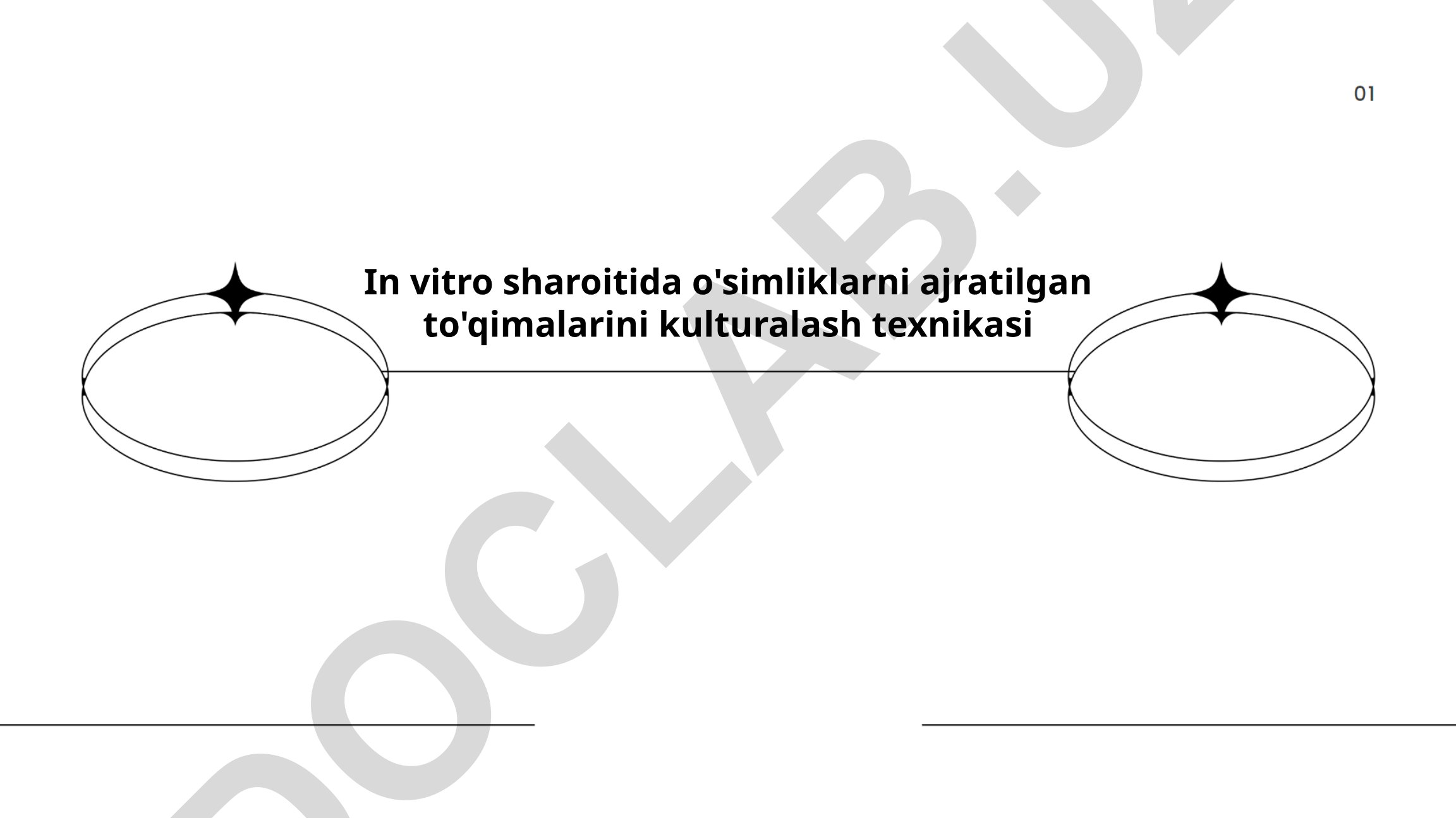 In vitro sharoitida o'simlik to'qimalarini kulturalash texnikasi