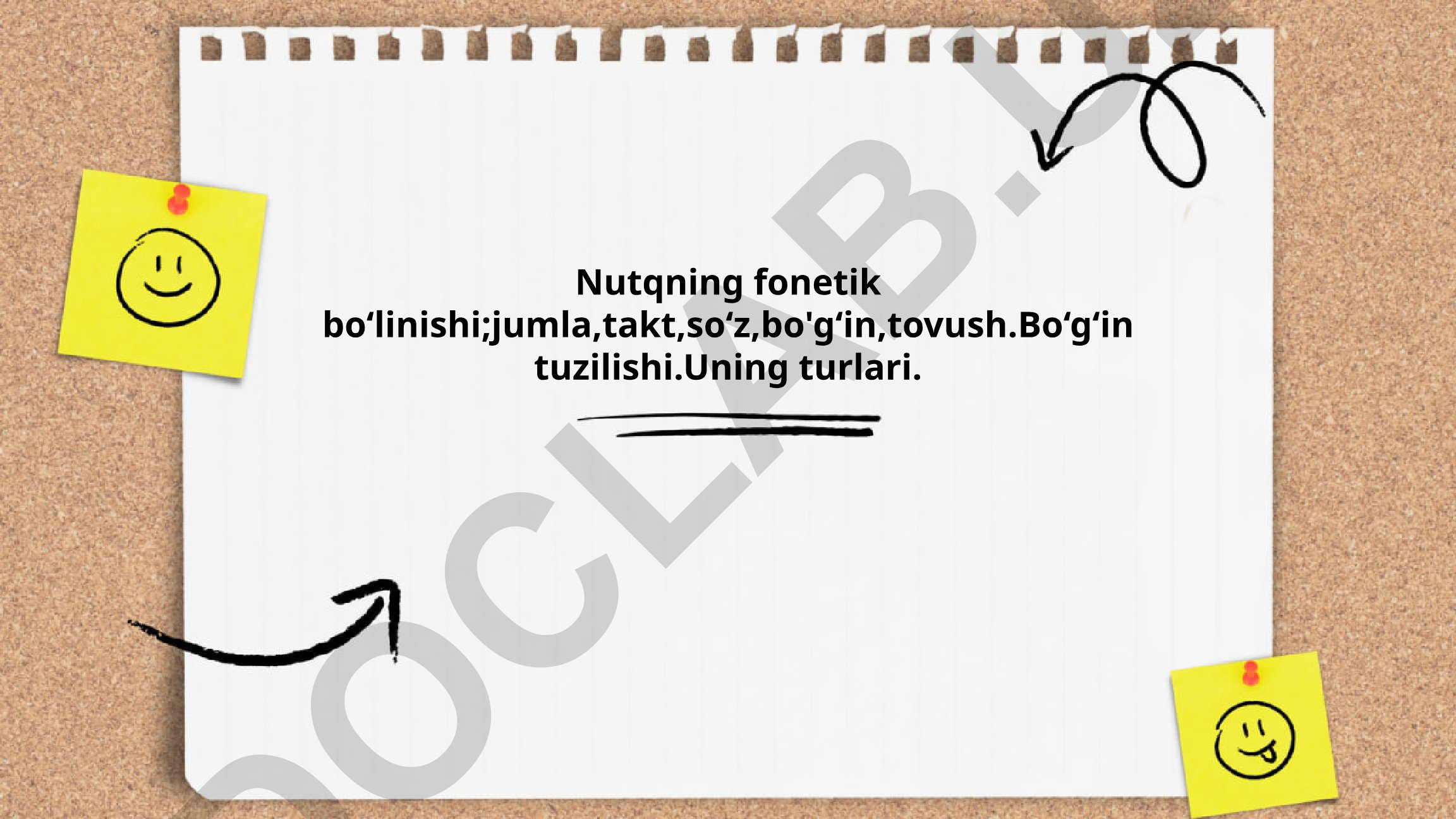 Nutqning fonetik bo‘linishi va jumla fonetikasi