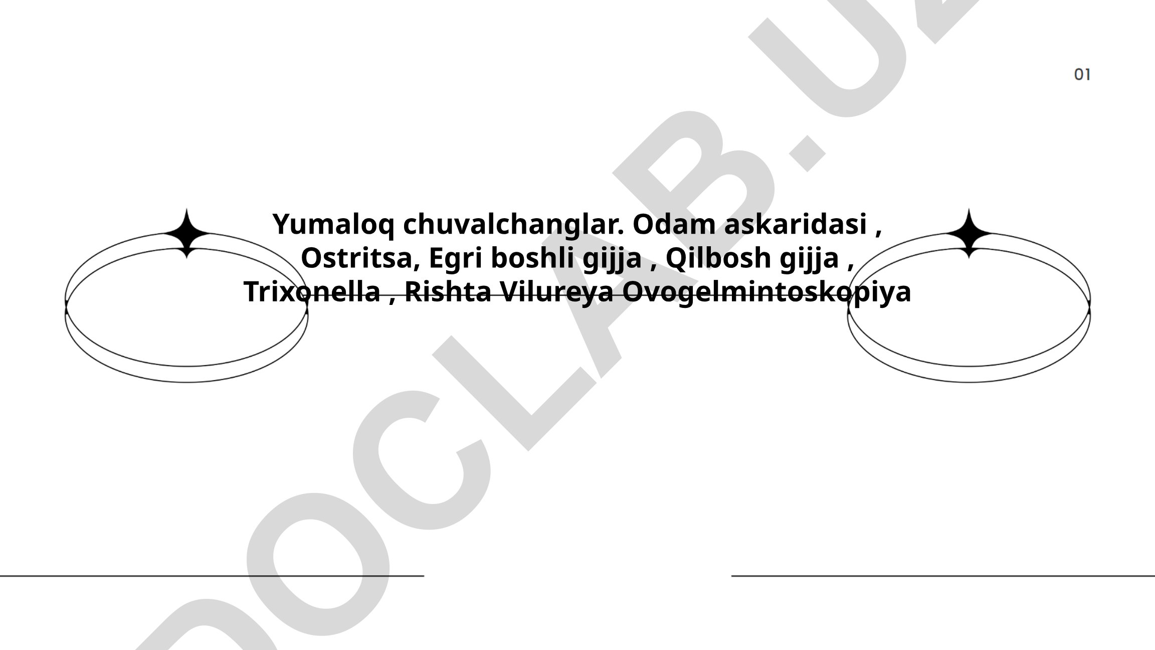 Yumaloq chuvalchanglar va parazitlar haqida taqdimot