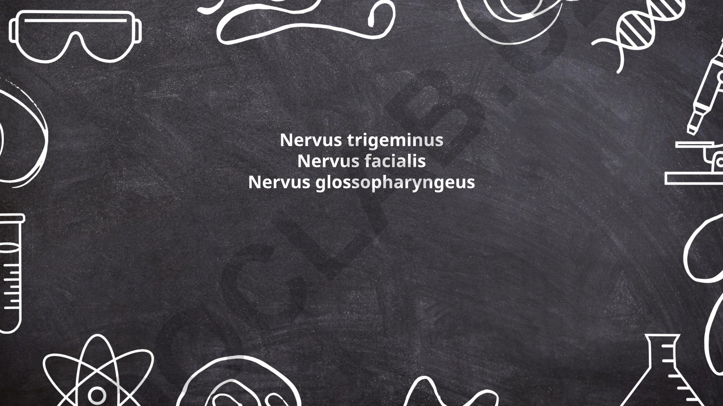 Trigeminus nervining anatomiyasi, funksiyalari va nevralgiyasi