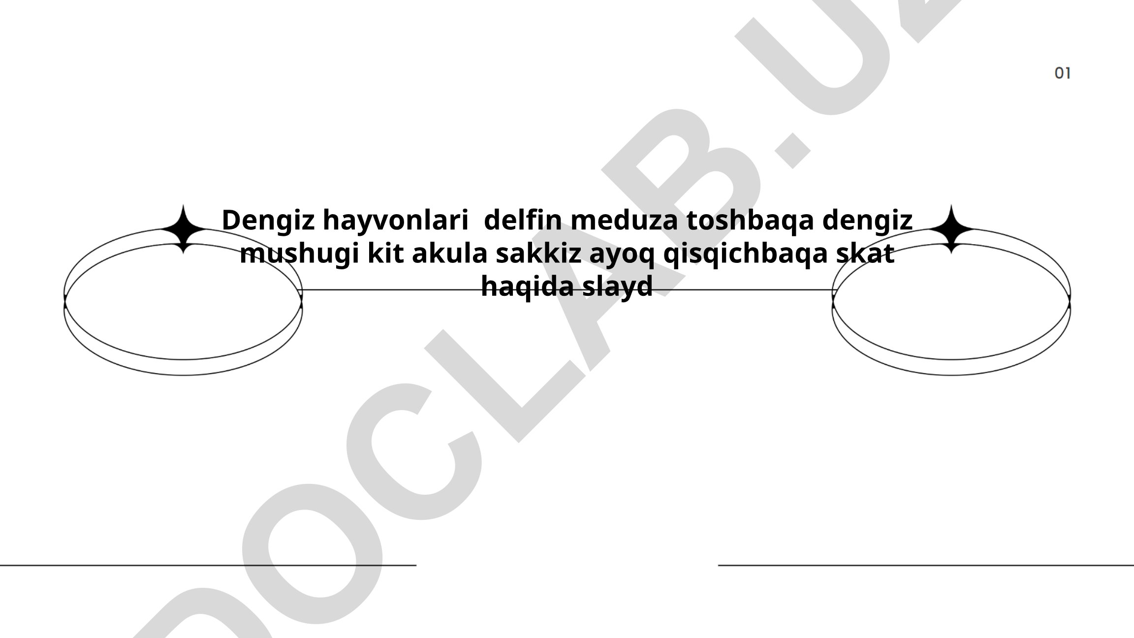 Dengiz hayvonlari: delfin, meduza, toshbaqa, kit, akula, sakkiz ayoq, qisqichbaqa, skat