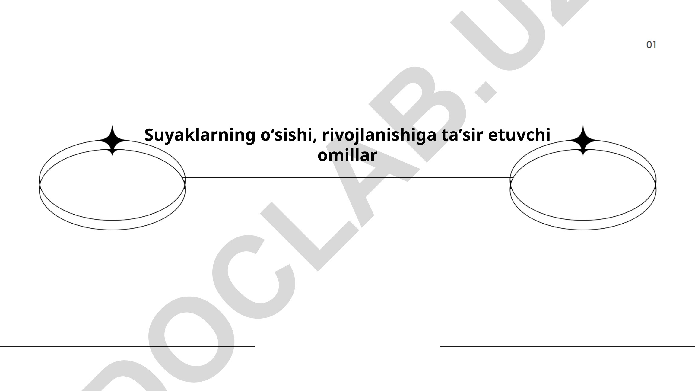 Suyaklarning o'sishi va rivojlanishiga ta'sir etuvchi omillar