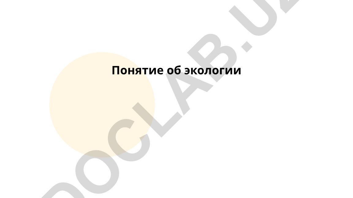 Понятие об экологии: история, основные понятия и экосистемы