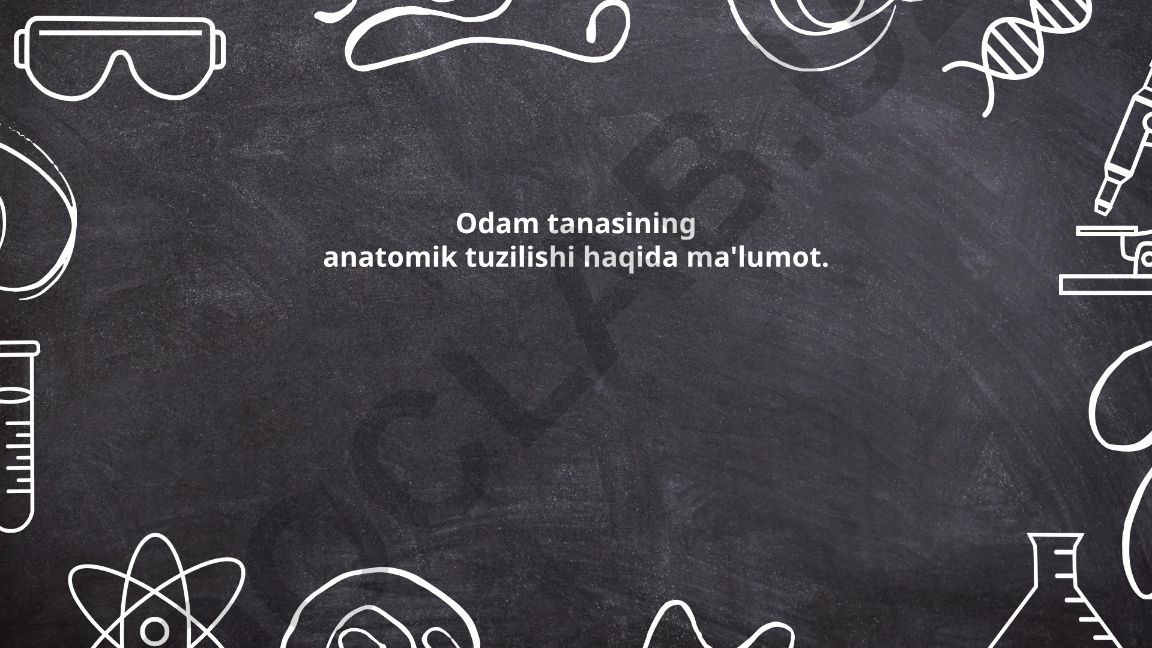 Odam tanasining anatomik tuzilishi