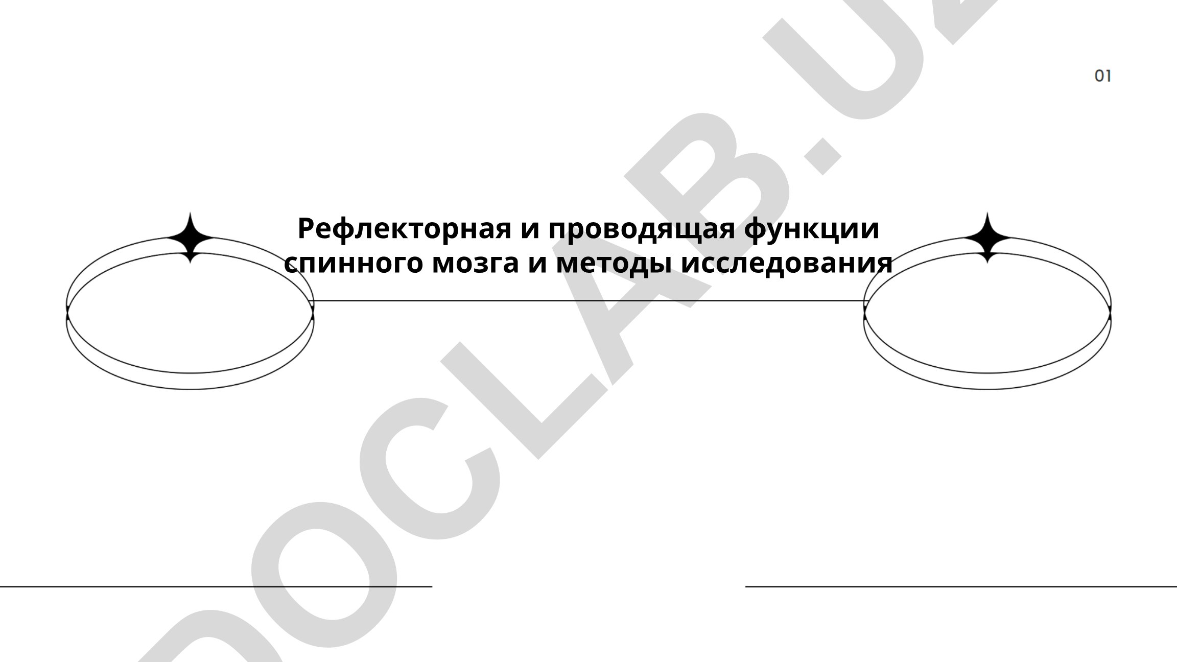 Рефлекторная и проводящая функции спинного мозга и методы исследования