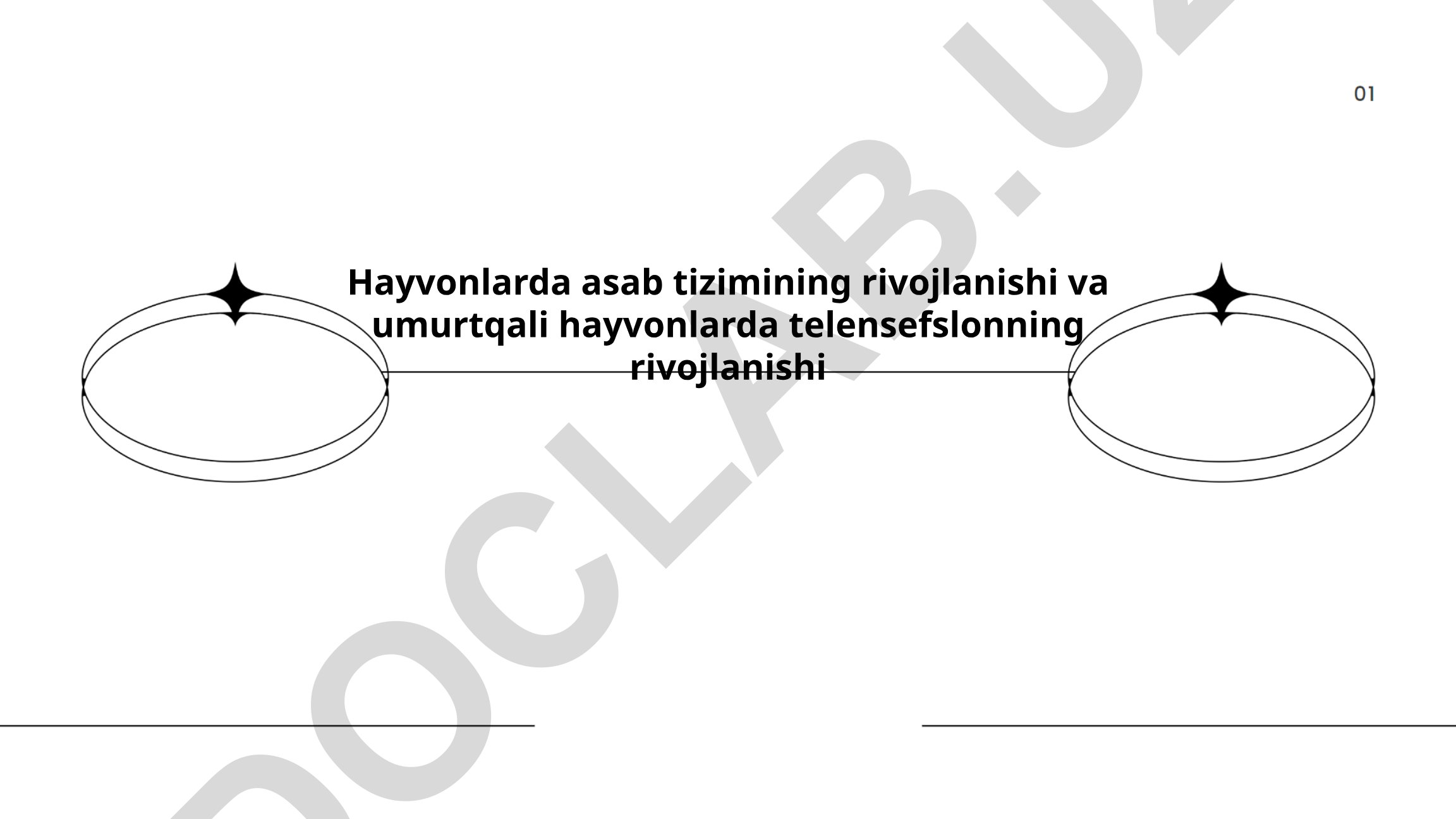 Hayvonlarda asab tizimining rivojlanishi va umurtqali hayvonlarda telensefslonning rivojlanishi