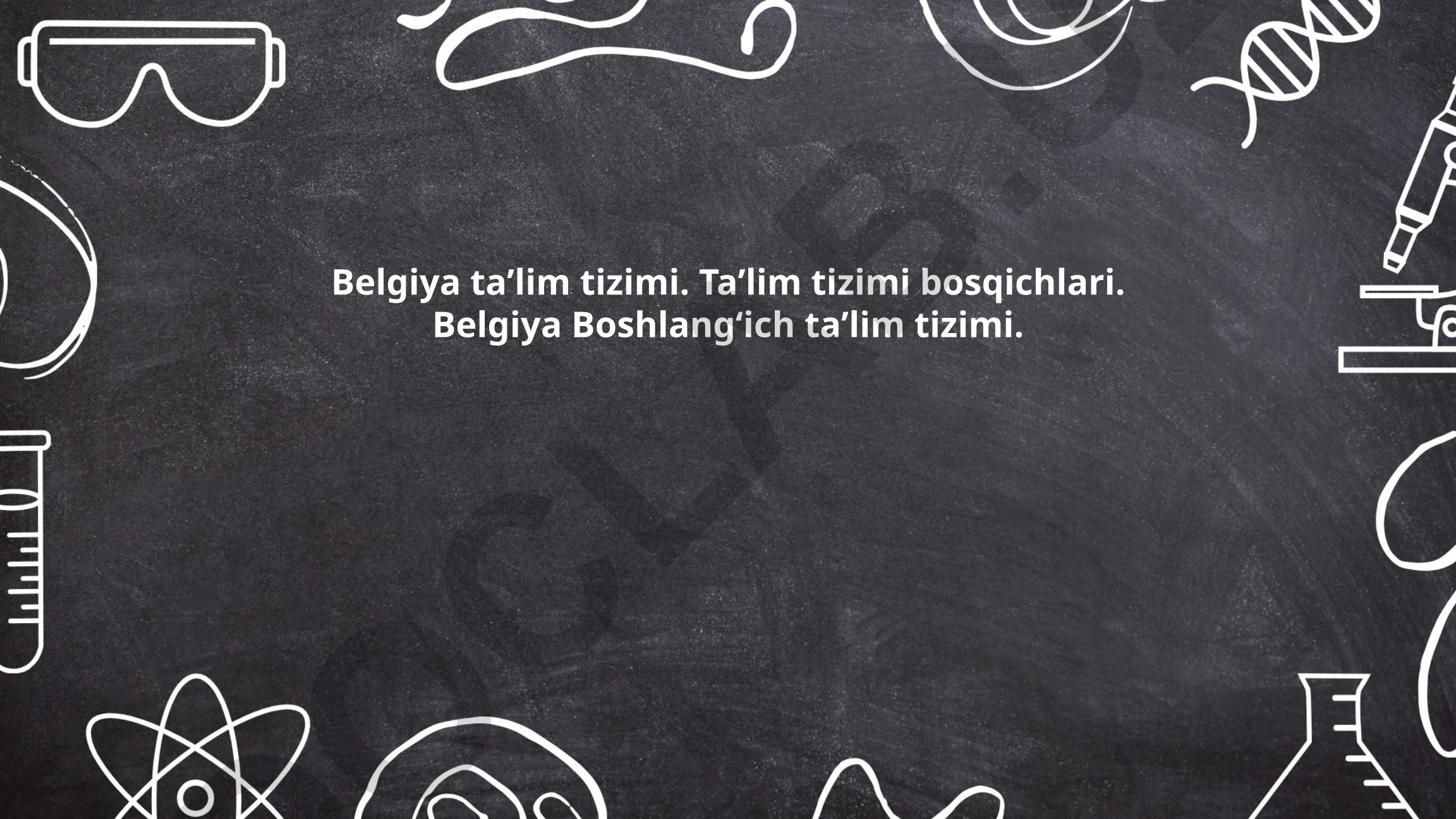 Belgiya ta'lim tizimi va bosqichlari
