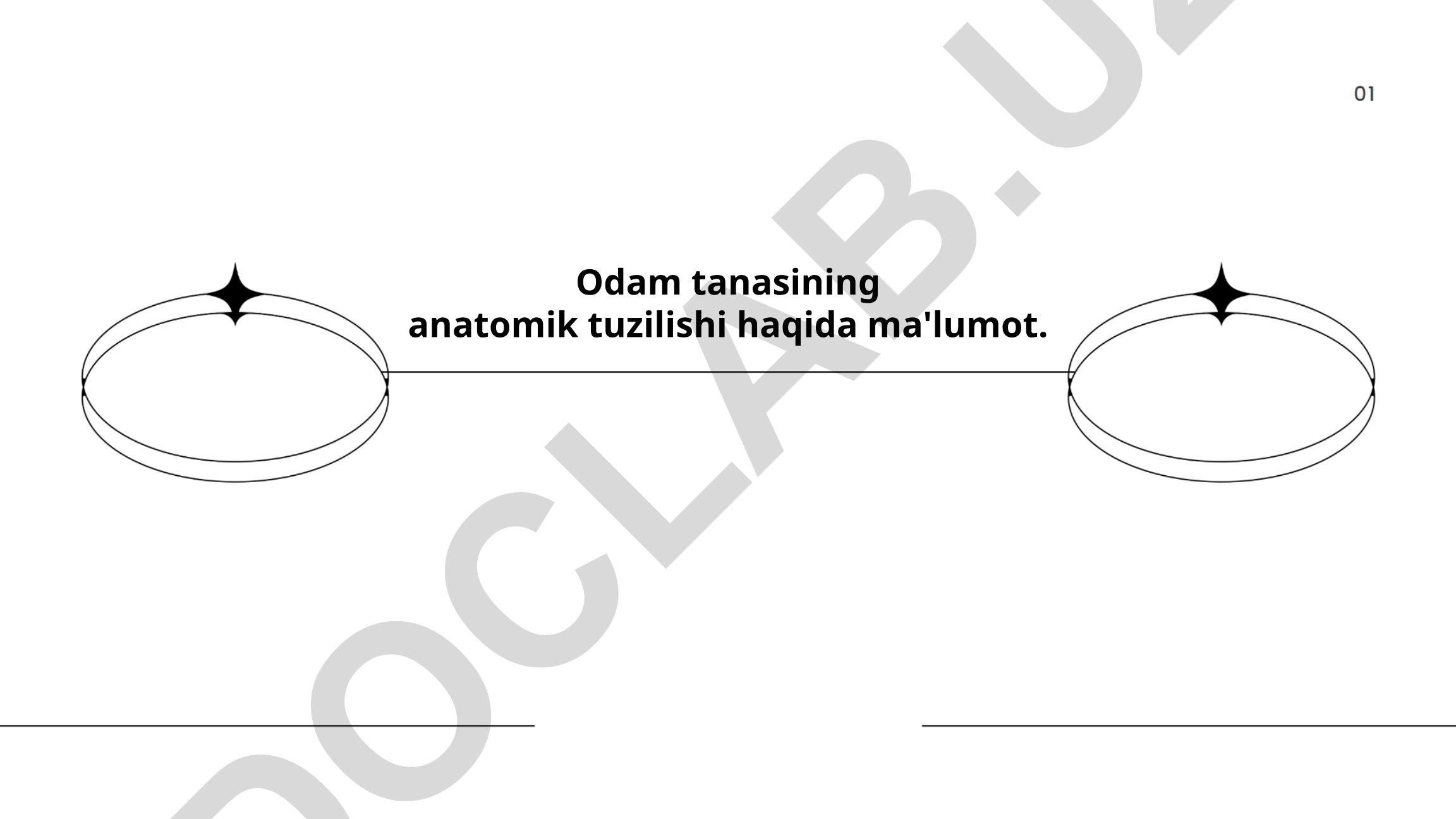 Odam tanasining anatomik tuzilishi