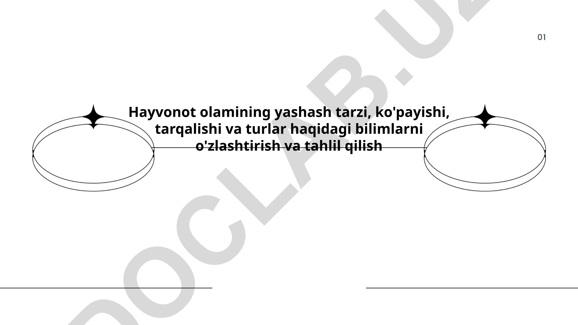 Hayvonlarning yashash muhitiga moslashuvi va adaptatsiya turlari