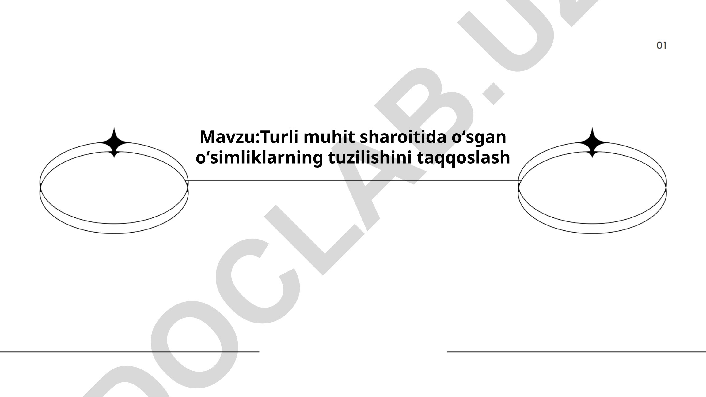 Turli muhit sharoitida oʻsgan oʻsimliklarning tuzilishini taqqoslash