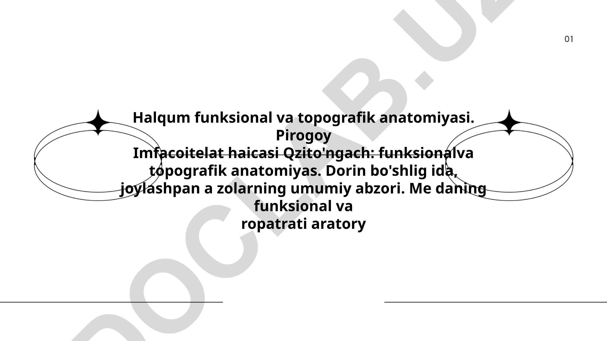 Halqumning funksional va topografik anatomiyasi