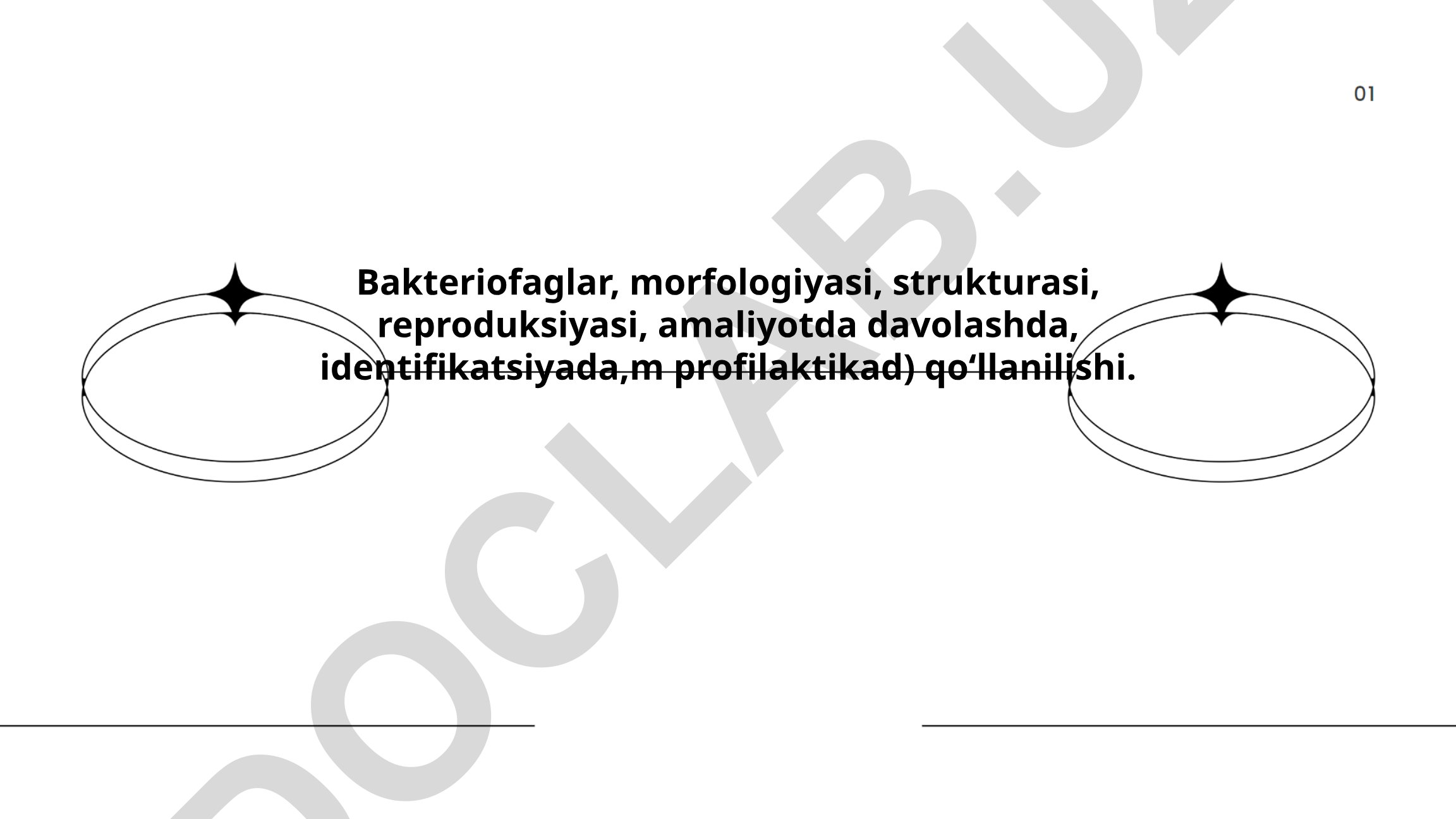Bakteriofaglar: morfologiyasi, strukturasi, reproduksiyasi va amaliy qo'llanilishi