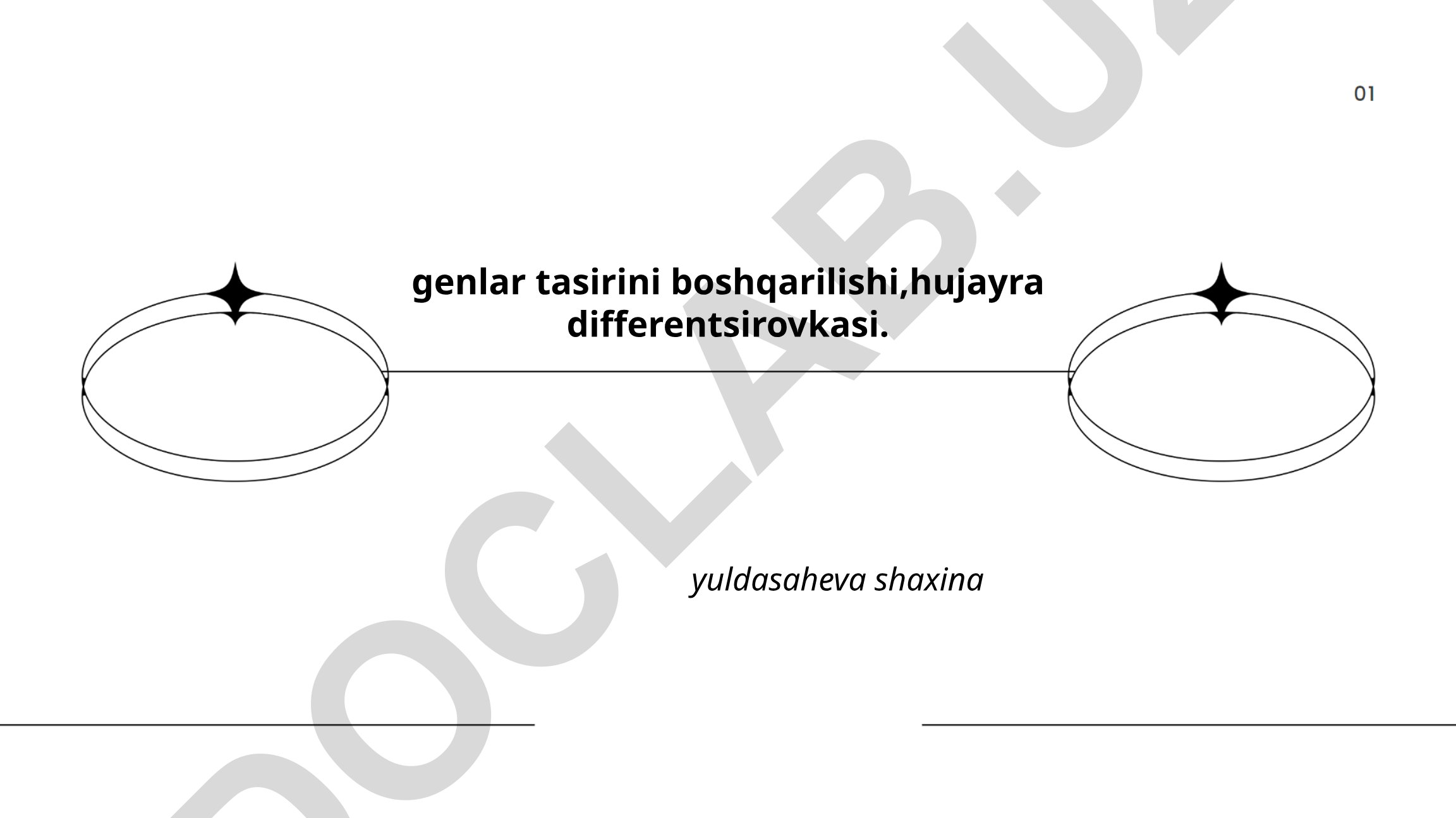Genlar ekspressiyasini boshqarish mexanizmlari va hujayra differentsirovkasi