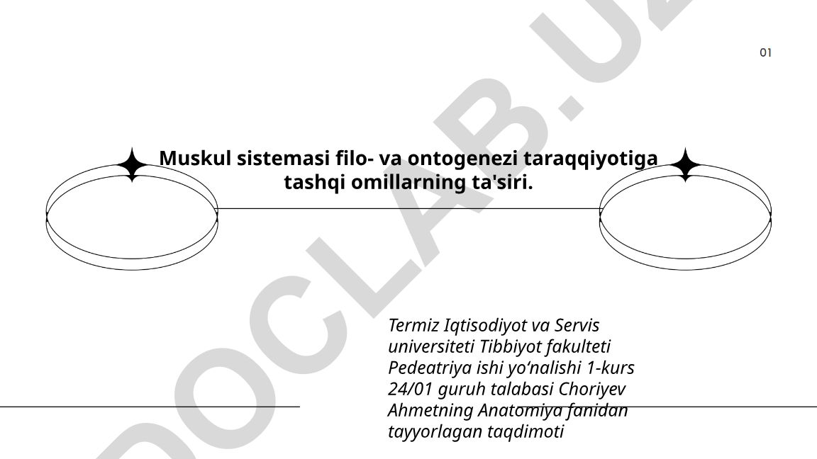 Muskul sistemasi filo- va ontogenezi taraqqiyotiga tashqi omillarning ta'siri