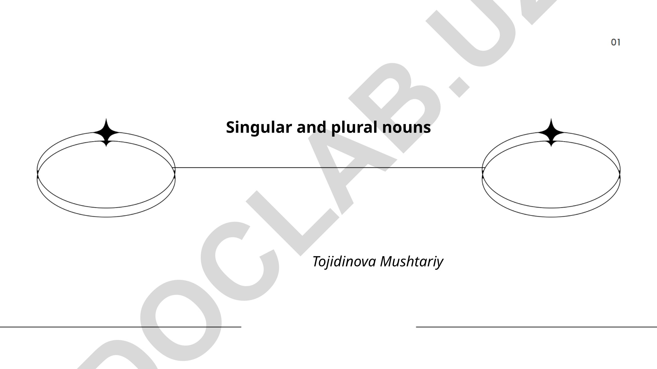 Singular and Plural Nouns in English