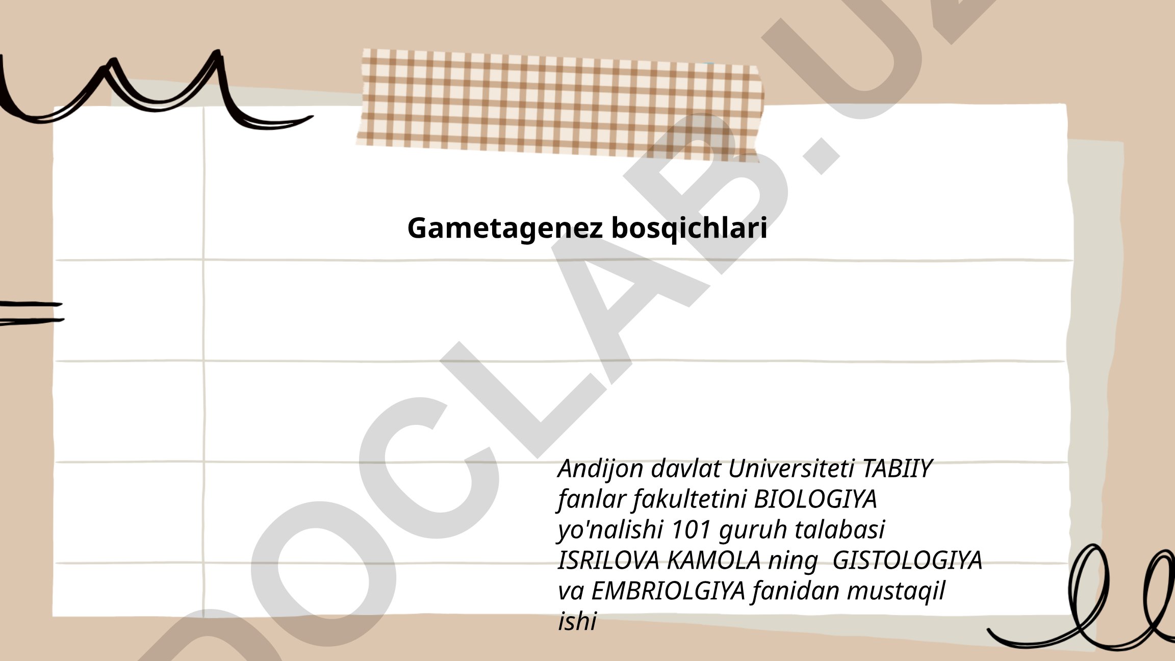 Gametagenez bosqichlari