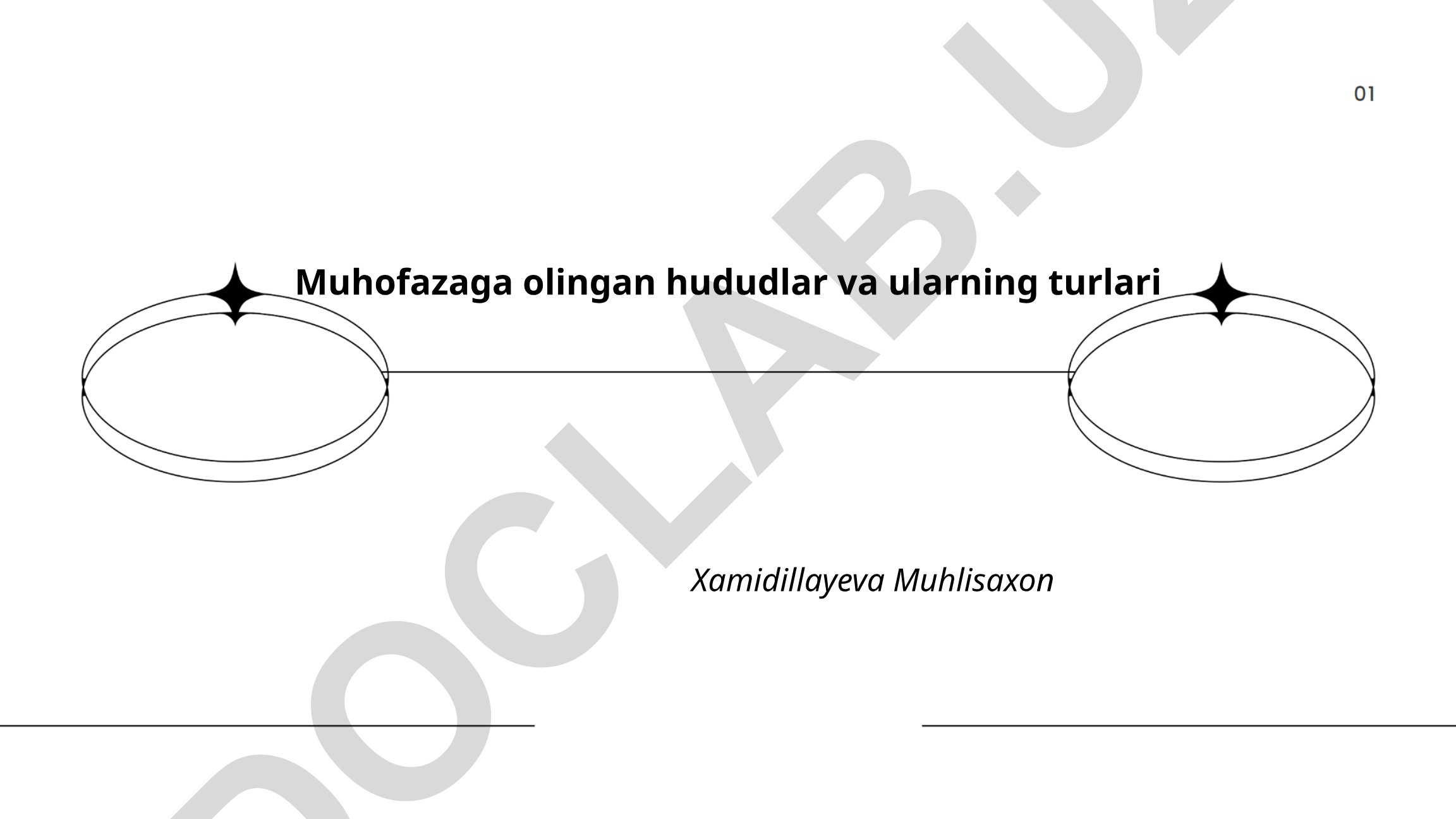 Muhofazaga olingan hududlar va ularning turlari