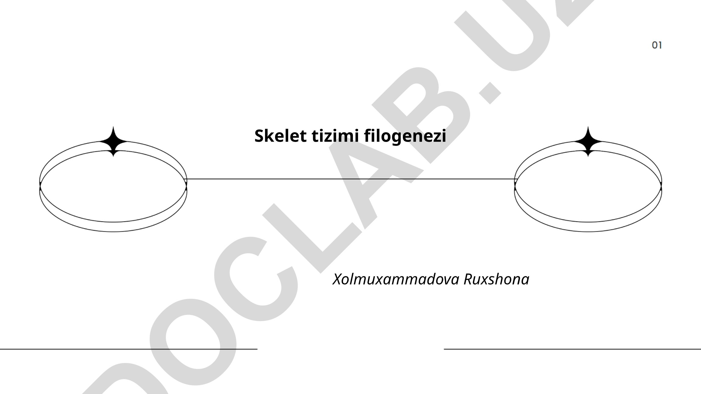 Skelet tizimi filogenezi