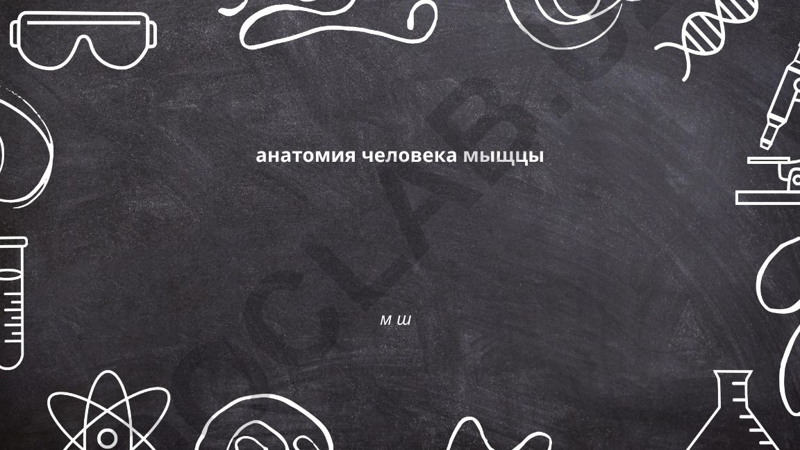 Анатомия человека: мышцы грудные, дельтовидная и бицепс