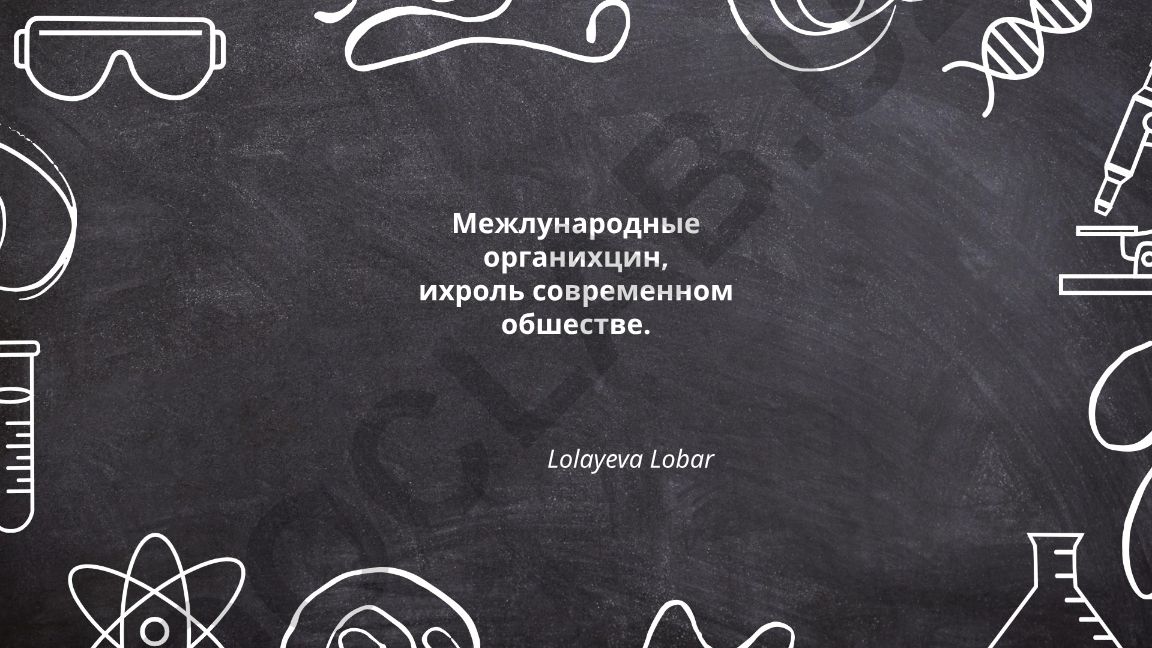 Международные организации и их роль в современном обществе