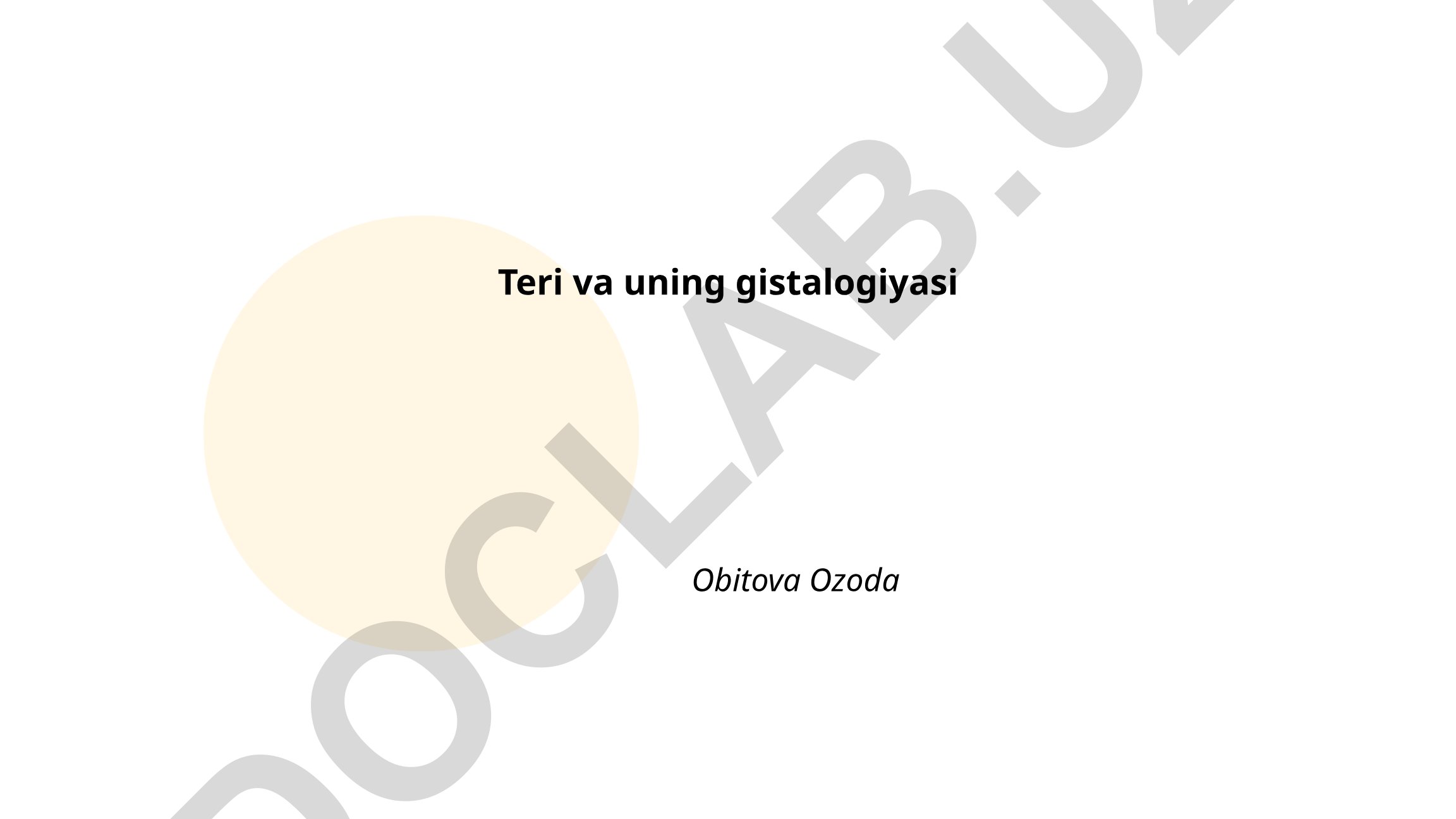 Teri va uning gistalogiyasi