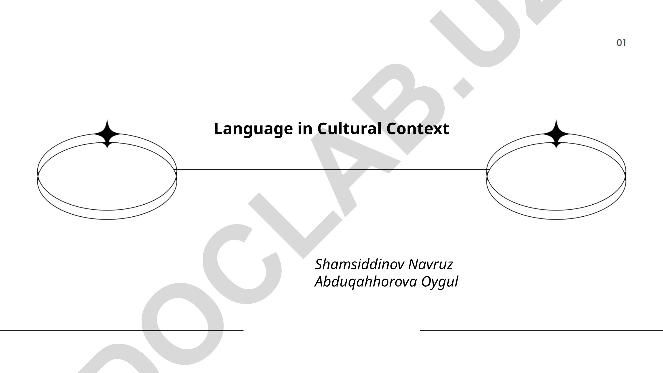 The Role of Language in Shaping Cultural Identity