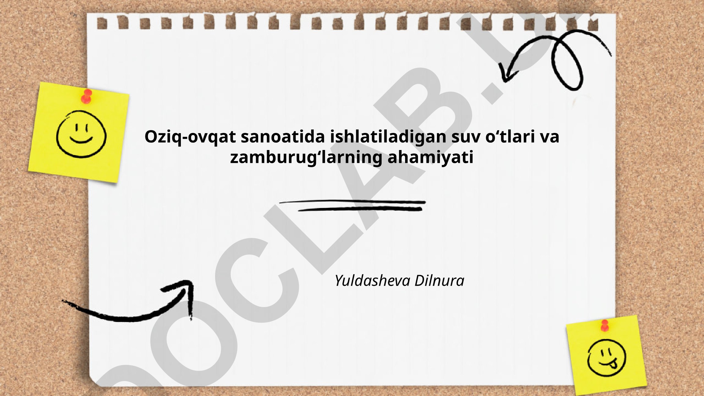 Oziq-ovqat sanoatida suv oʻtlari va zamburugʻlarning ahamiyati