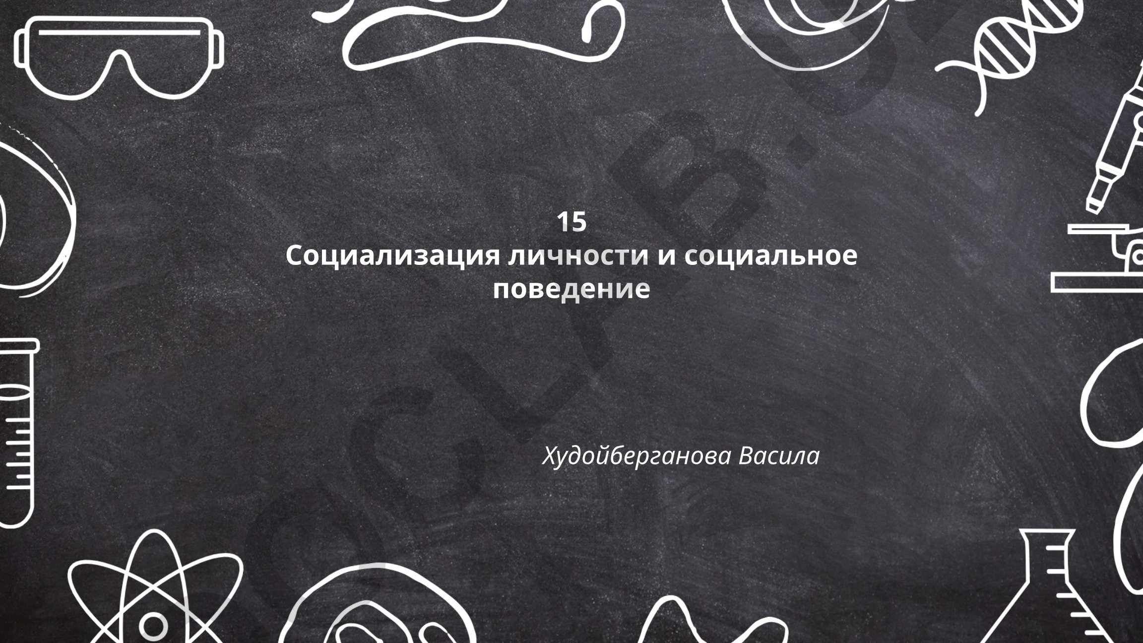 Социализация личности и социальное поведение