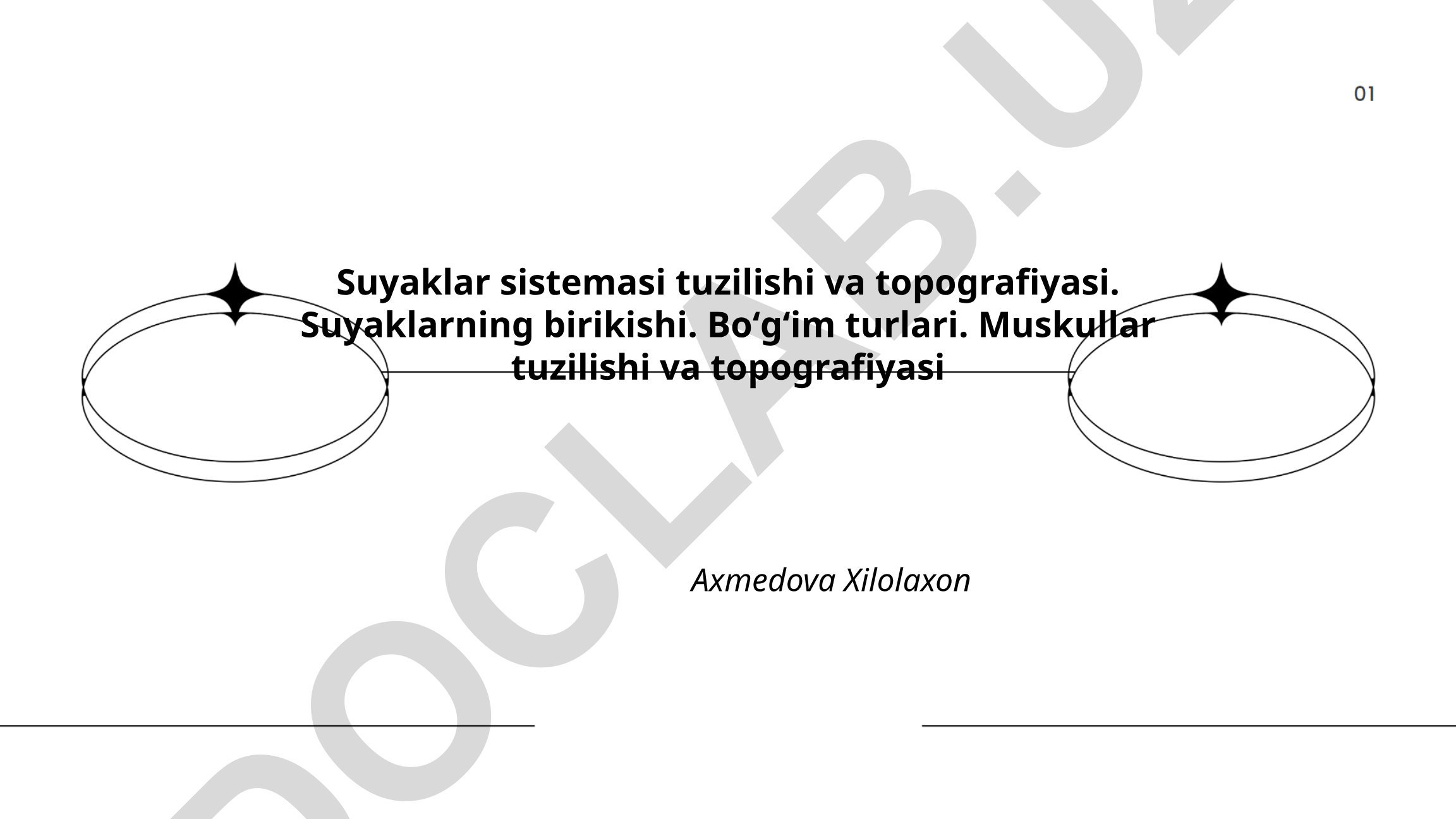 Suyaklar sistemasi tuzilishi va topografiyasi