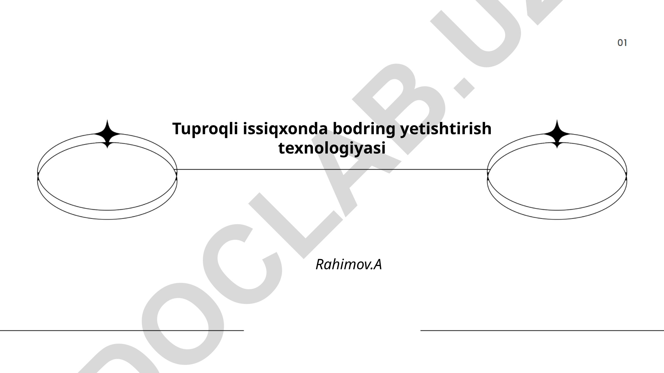 Tuproqli issiqxonda bodring yetishtirish texnologiyasi