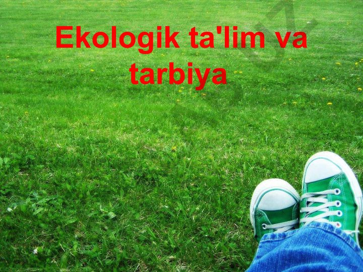 Ekologik ta'lim va tarbiya