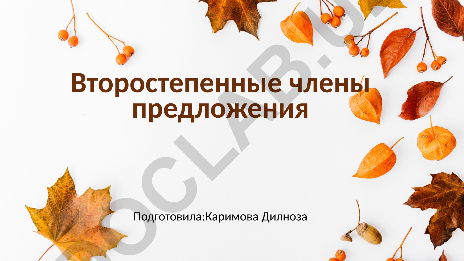 Второстепенные члены предложения