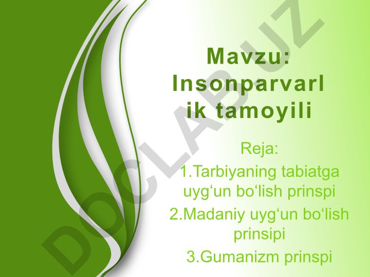 Insonparvarlik tamoyili