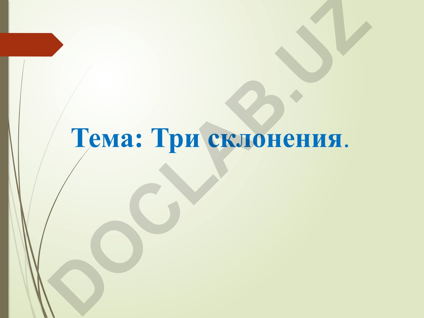 Три склонения имён существительных в русском языке