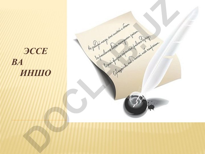 Эссе ва иншонинг фарқли томонлари