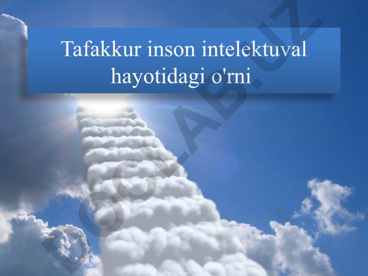 Tafakkur inson intelektuval hayotidagi o'rni