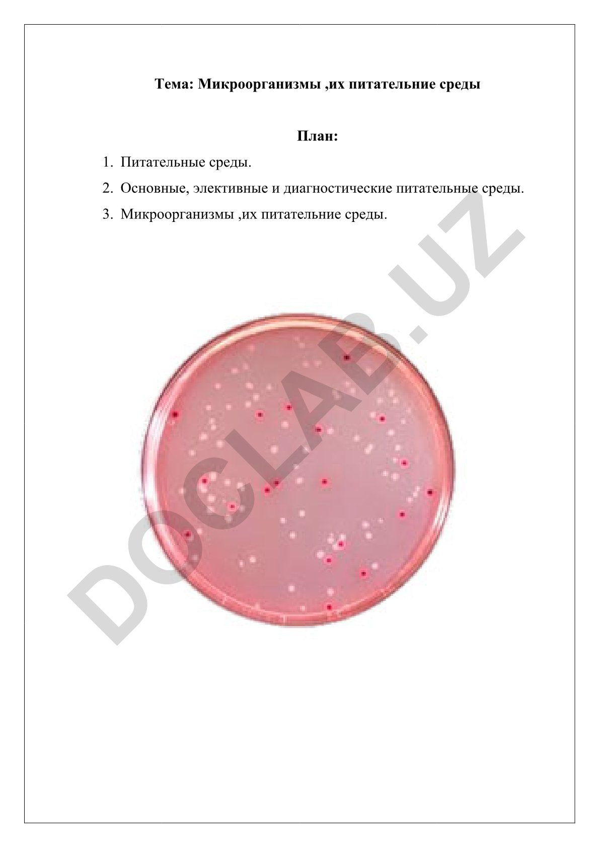 Микроорганизмы, их питательные среды
