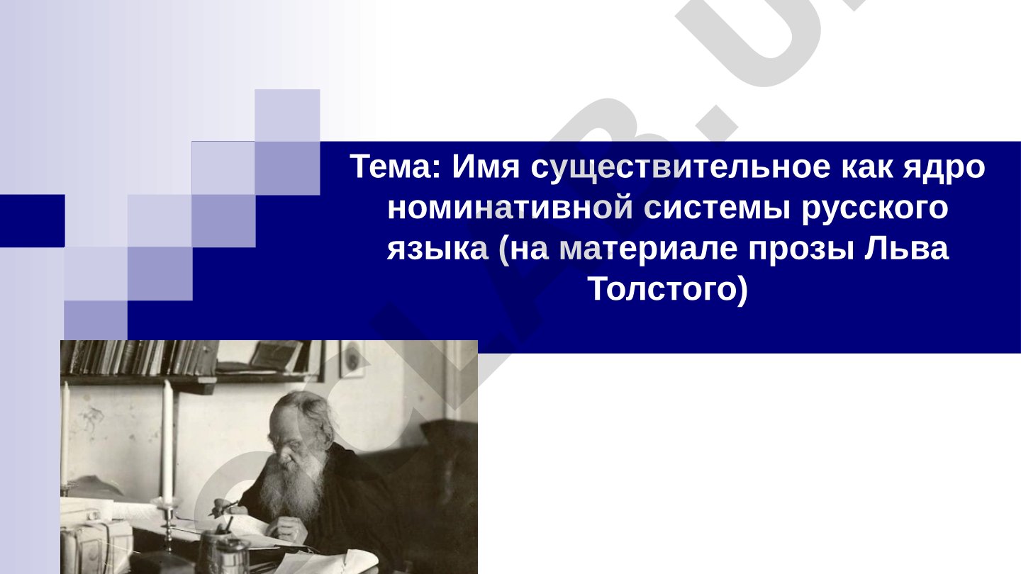 Имя существительное как ядро номинативной системы русского языка (на материале прозы Льва Толстого)