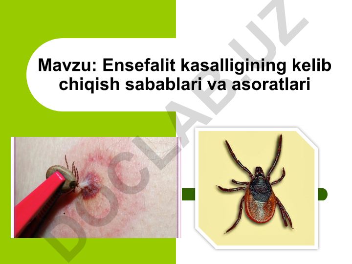 Ensefalit kasalligining kelib chiqish sabablari va asoratlari
