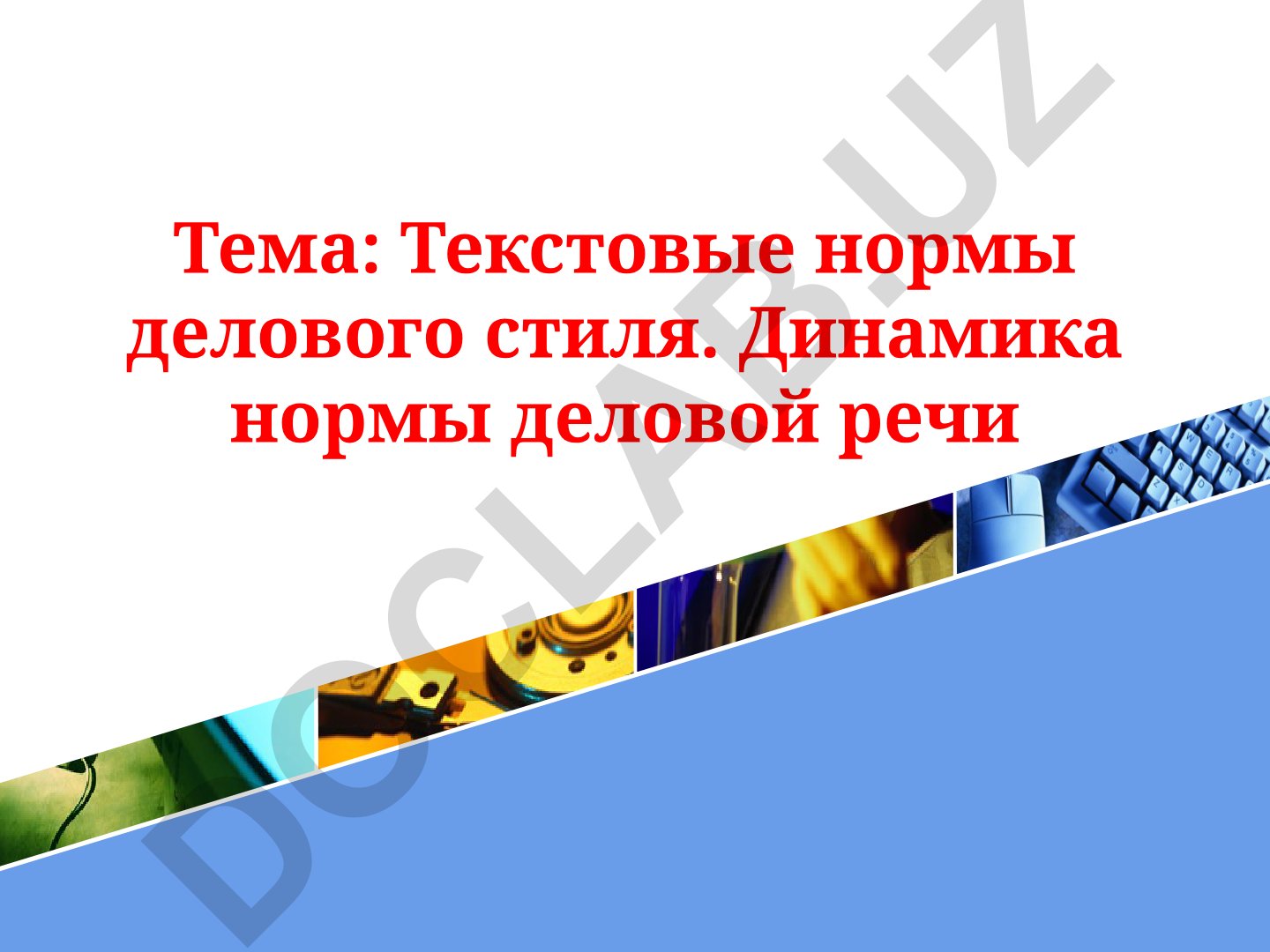 Текстовые нормы делового стиля. Динамика нормы деловой речи