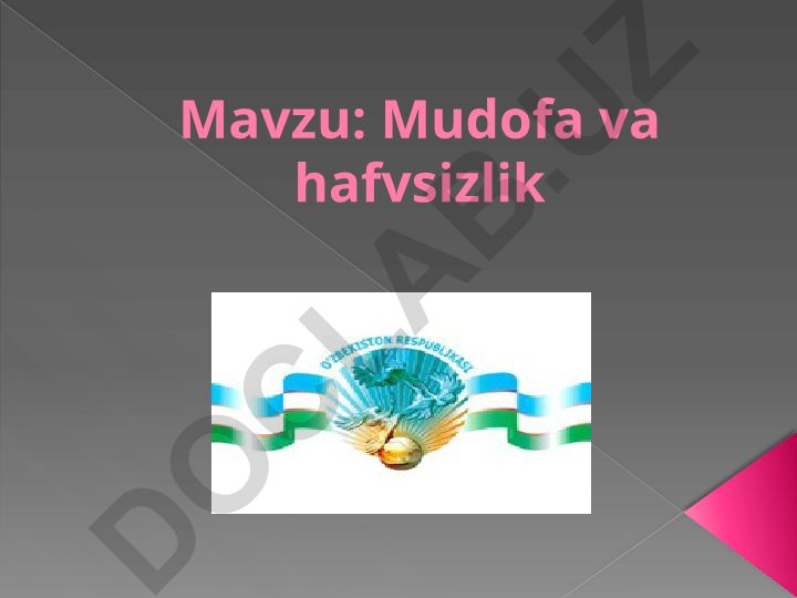 Mudofa va xavfsizlik